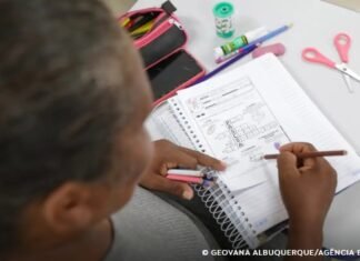 Inserção no mercado de trabalho tende a melhorar habilidade de leitura